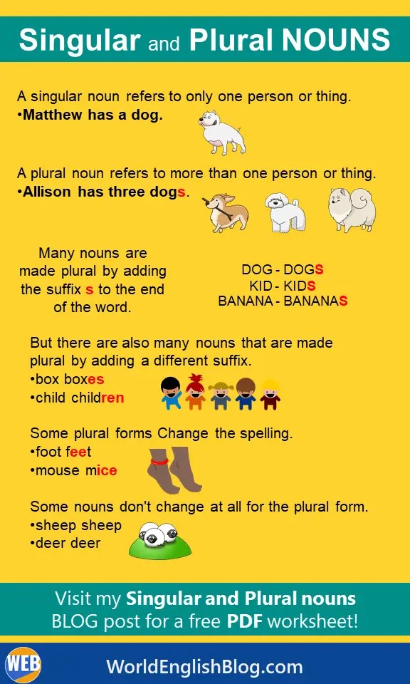 singular and plural nouns 50 examples worksheet pdf world english blog