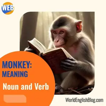 16 Common Monkey Idioms (REAL Examples and Video) – World English Blog