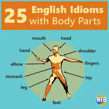 We all know the importance of protecting them from pesky brown spots to keep. 25 Common English Idioms With Body Parts