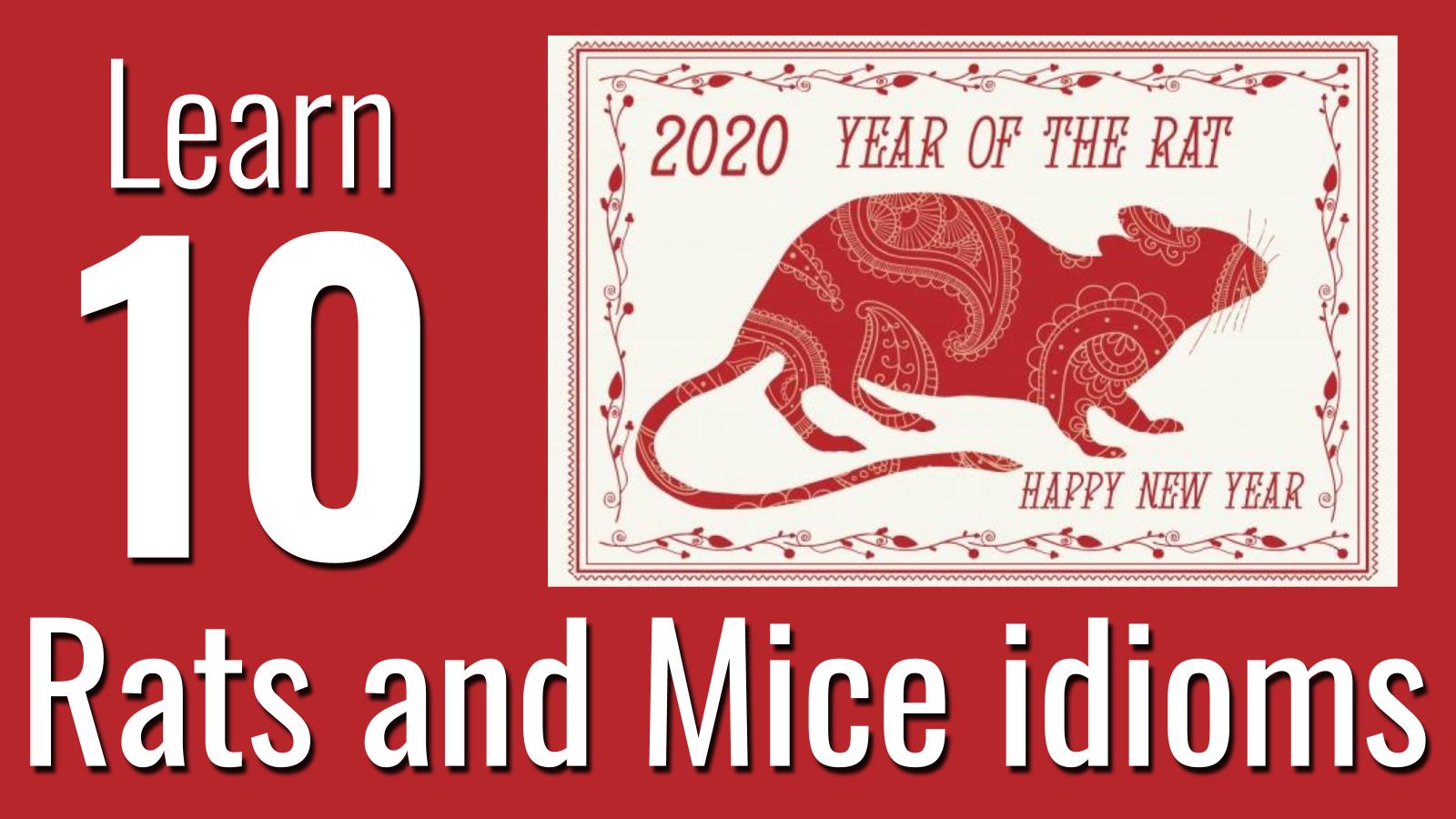 rats-and-mice-idioms-2020-the-year-of-the-rat-world-english-blog