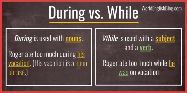 during-vs-while-grammar-world-english-blog